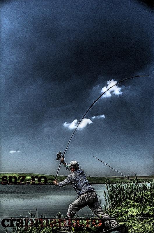 Party Cup (2) - 2013 - 1010471hdrmode2.JPG